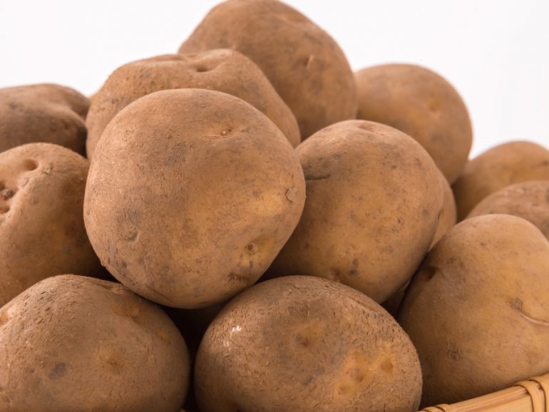 じゃがいも みなとの野菜大辞典