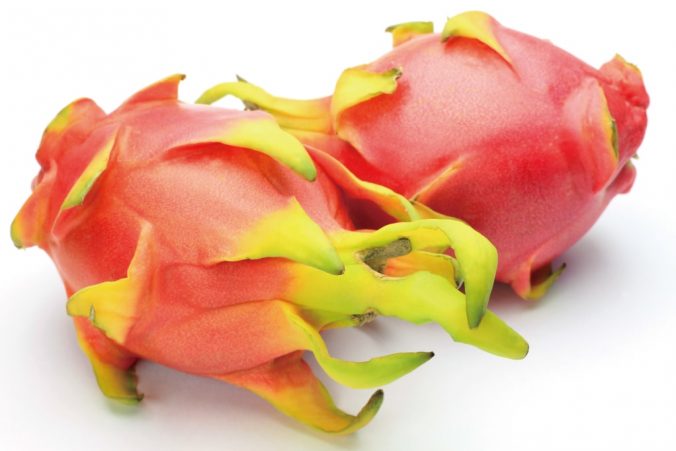 ドラゴンフルーツ ピタヤ みなとの野菜大辞典