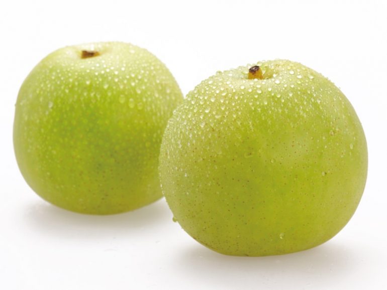 ナシ(梨)｜みなとの野菜大辞典 