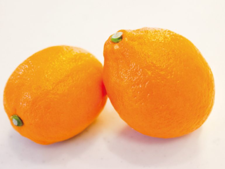 レモン 国産 みなとの野菜大辞典 レモン 国産 みなとの野菜大辞典