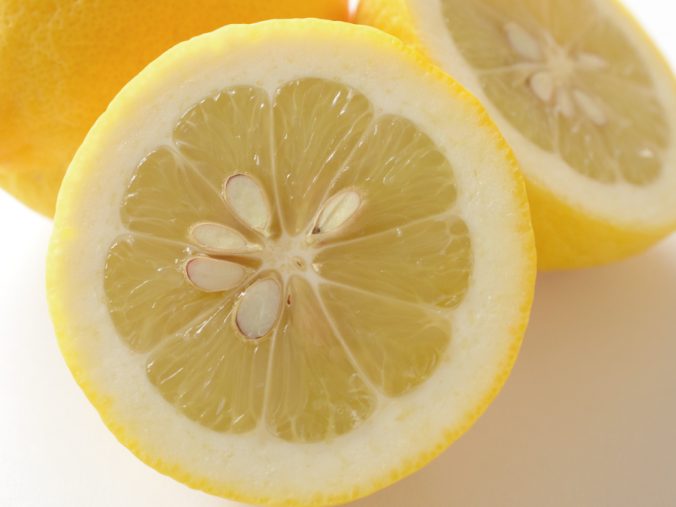 レモン 国産 みなとの野菜大辞典