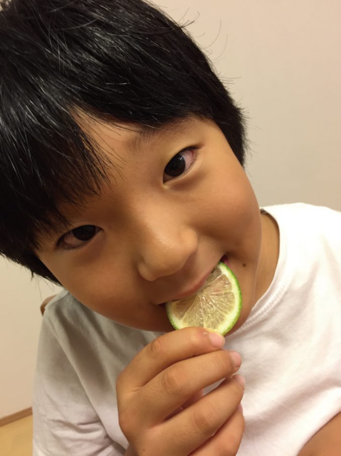 レモン 国産 みなとの野菜大辞典 レモン 国産 みなとの野菜大辞典
