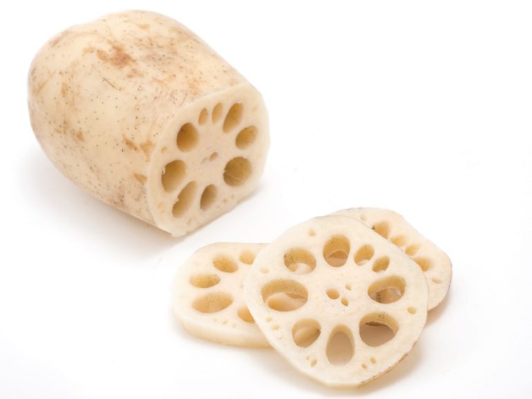 レンコン みなとの野菜大辞典