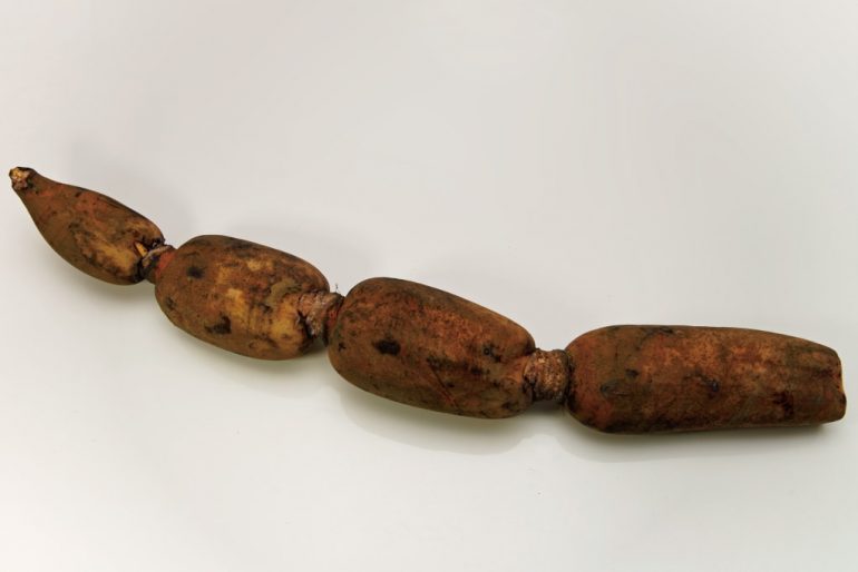 レンコン みなとの野菜大辞典 レンコン みなとの野菜大辞典