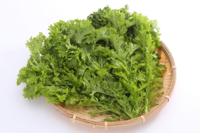 ワサビ 山葵 みなとの野菜大辞典 ワサビ 山葵 みなとの野菜大辞典