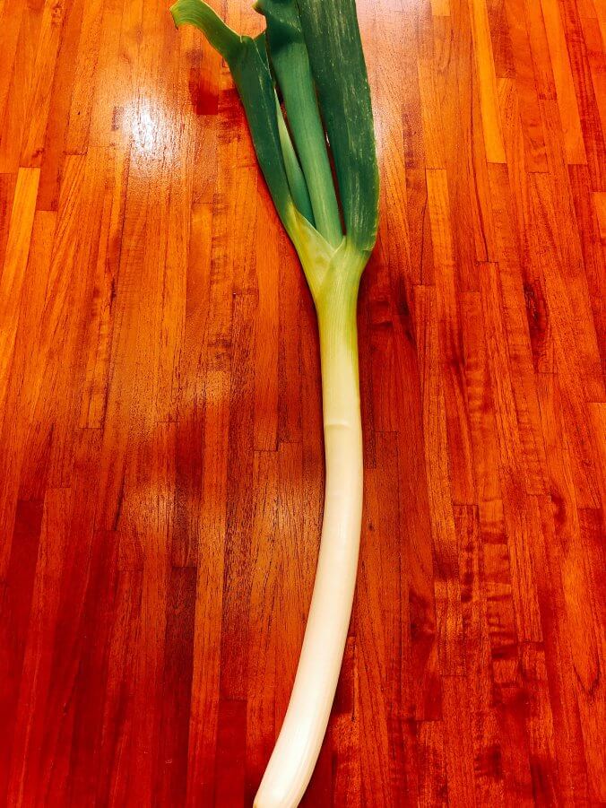 ねぎ みなとの野菜大辞典