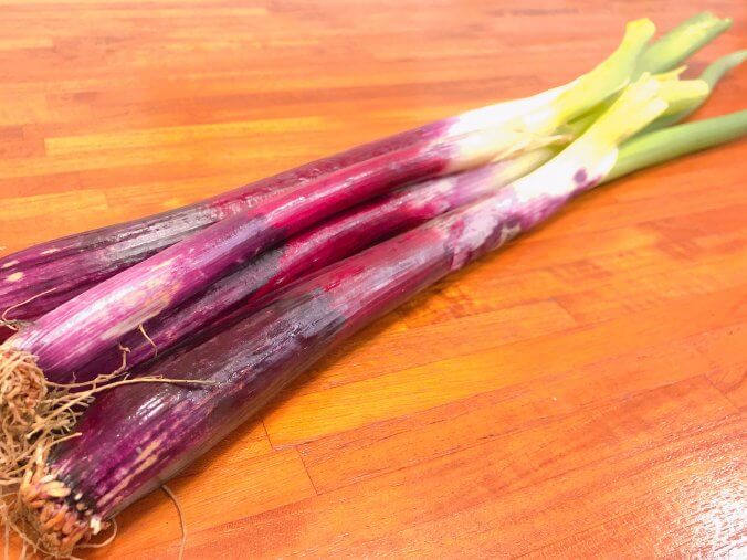 ねぎ みなとの野菜大辞典
