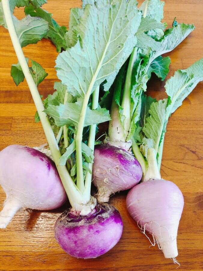 カブ(蕪)|みなとの野菜大辞典