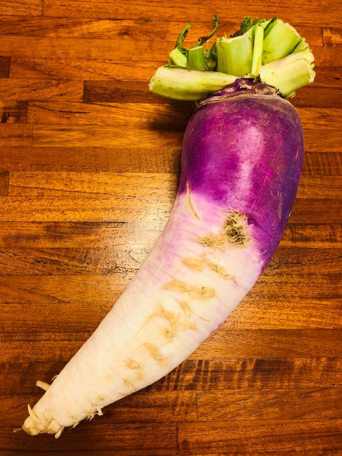 カブ 蕪 みなとの野菜大辞典