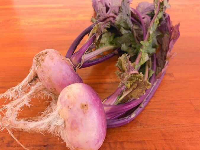 カブ 蕪 みなとの野菜大辞典