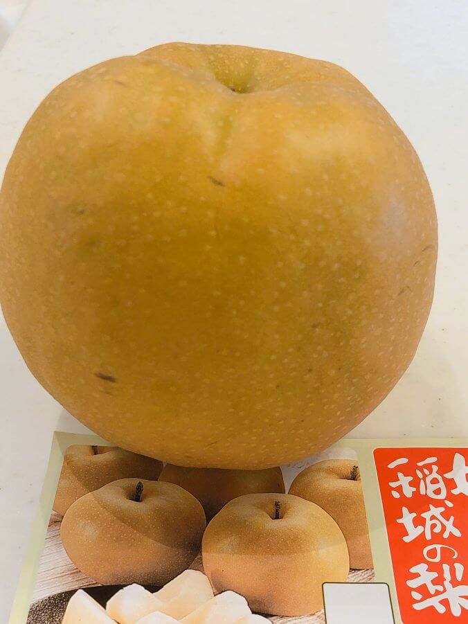 ナシ 梨 みなとの野菜大辞典 ナシ 梨 みなとの野菜大辞典