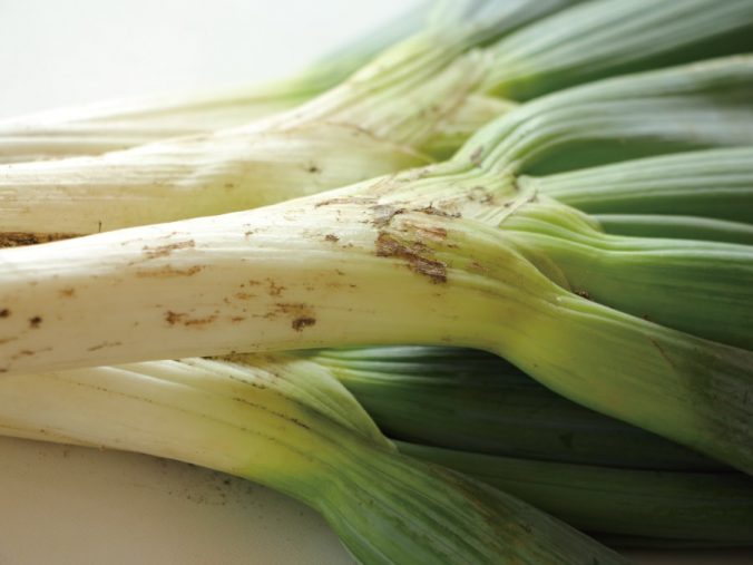 ねぎ みなとの野菜大辞典