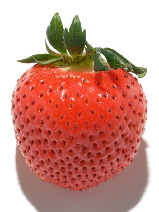 いちご みなとの野菜大辞典