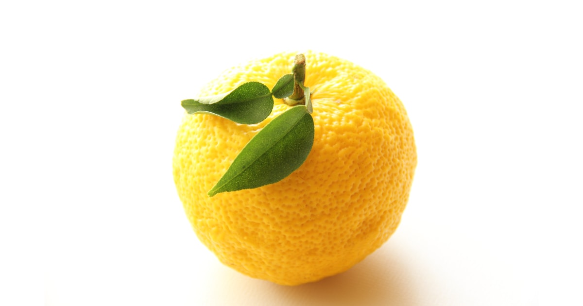 ゆず みなとの野菜大辞典