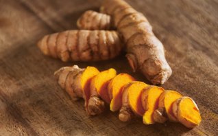 ウコン みなとの野菜大辞典 ウコン みなとの野菜大辞典