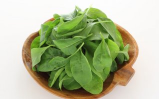 白菜 ハクサイ みなとの野菜大辞典