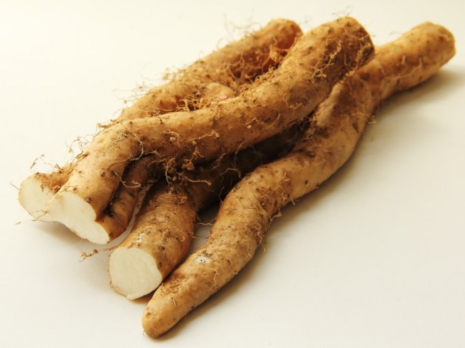 山芋 自然薯 ナガイモ ツクネイモ イチョウイモ ダイジョ みなとの野菜大辞典