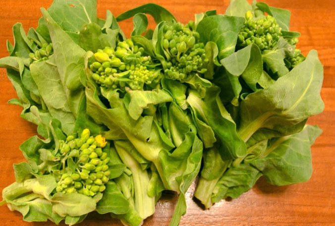 白菜 ハクサイ みなとの野菜大辞典 白菜 ハクサイ みなとの野菜大辞典