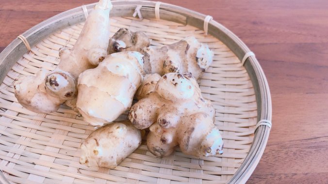 キクイモ 菊芋 みなとの野菜大辞典 キクイモ 菊芋 みなとの野菜大辞典
