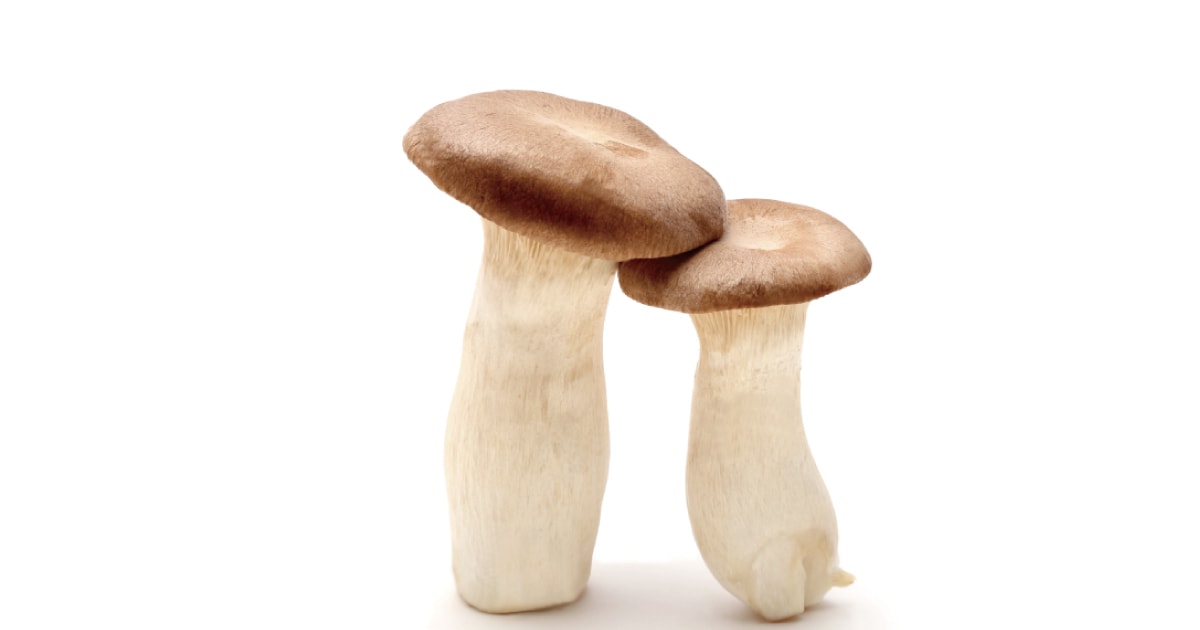 エリンギ 【公式通販】