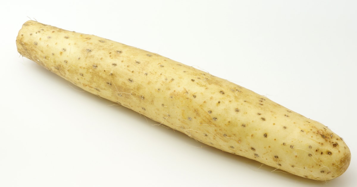 山芋 山芋(自然薯、ナガイモ、ツクネイモ、イチョウイモ、ダイジョ)｜みなと