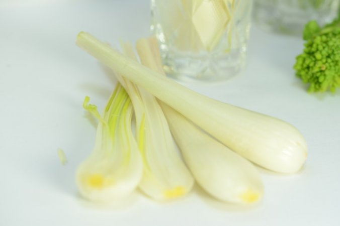 エシャレット みなとの野菜大辞典