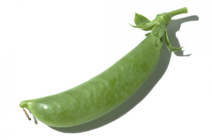 スナップエンドウ みなとの野菜大辞典 スナップエンドウ みなとの野菜大辞典