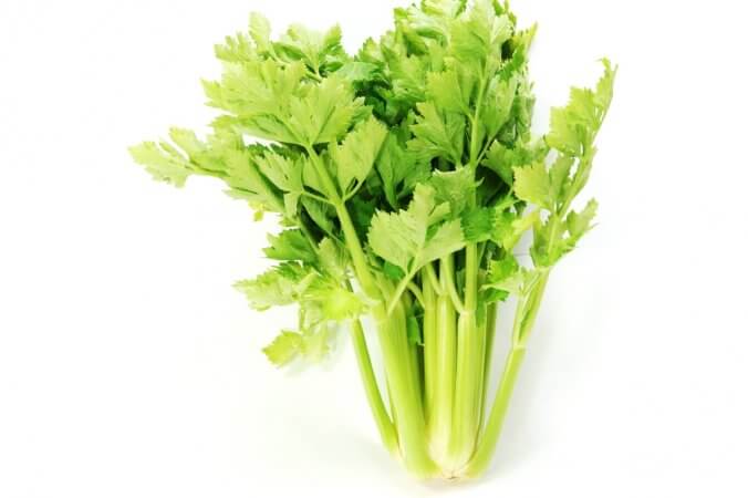 セロリ みなとの野菜大辞典 セロリ みなとの野菜大辞典
