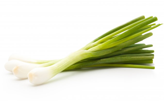 ねぎ｜みなとの野菜大辞典