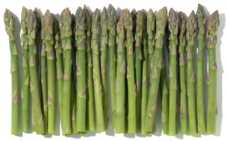 アスパラガス みなとの野菜大辞典 アスパラガス みなとの野菜大辞典