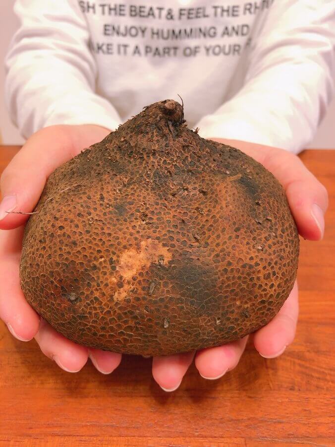 最大59%OFFクーポン さつま自然薯 じねんじょ 野菜 山芋 やまいも 芋 鹿児島県 薩摩川内市 送料無料 www.basexpert.com.br