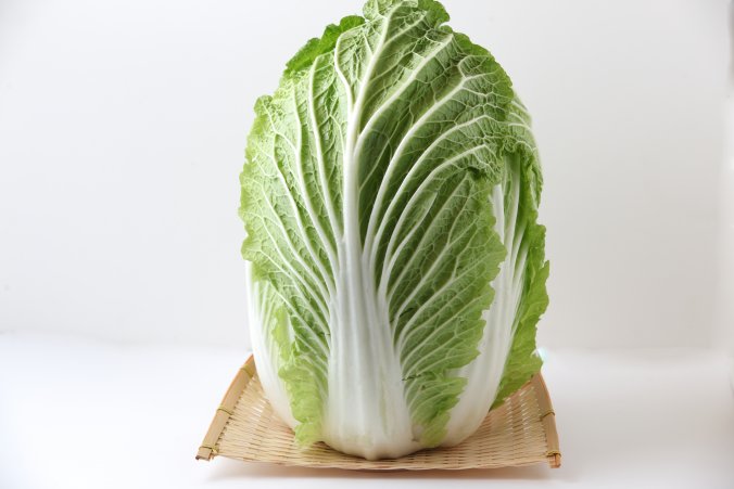 知っているようで知られていない野菜のひみつ みなとの野菜大辞典 知っているようで知られていない野菜のひみつ みなとの野菜大辞典