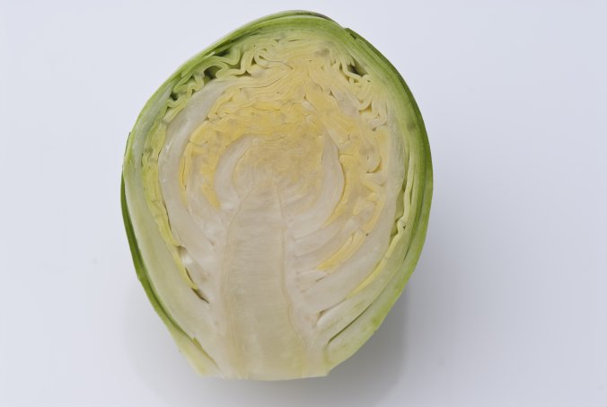 メキャベツ って小さなキャベツだよね エッ 違うの みなとの野菜大辞典