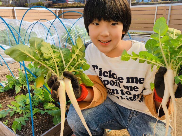 もしかしたら その水やりは必要ないかも知れません みなとの野菜大辞典