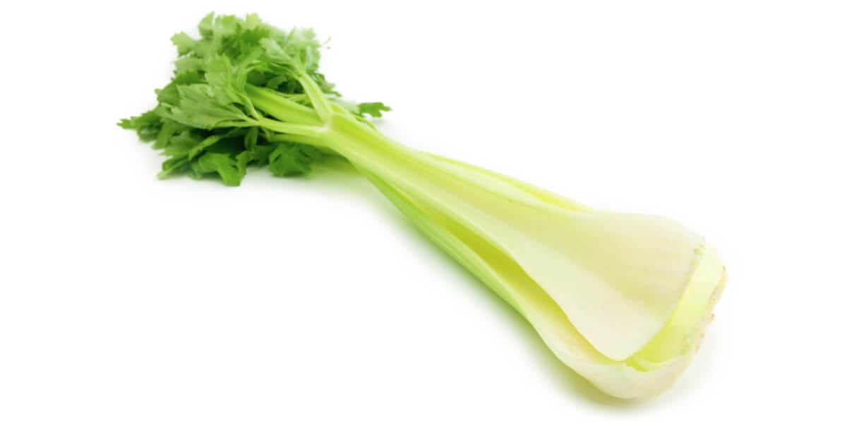 セロリ みなとの野菜大辞典 セロリ みなとの野菜大辞典