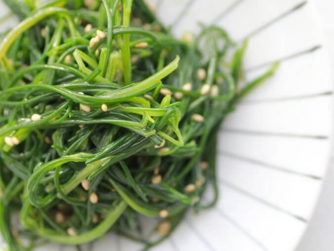 オカヒジキ みなとの野菜大辞典