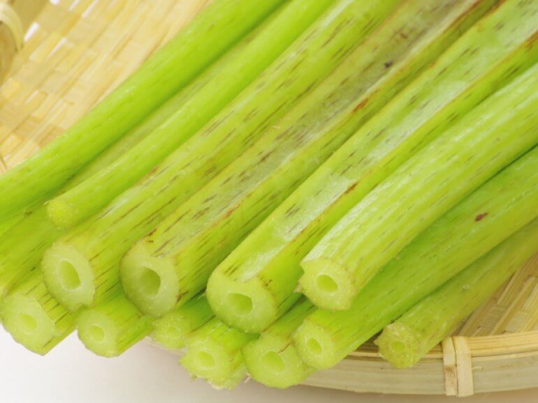 フキ 蕗 みなとの野菜大辞典 フキ 蕗 みなとの野菜大辞典