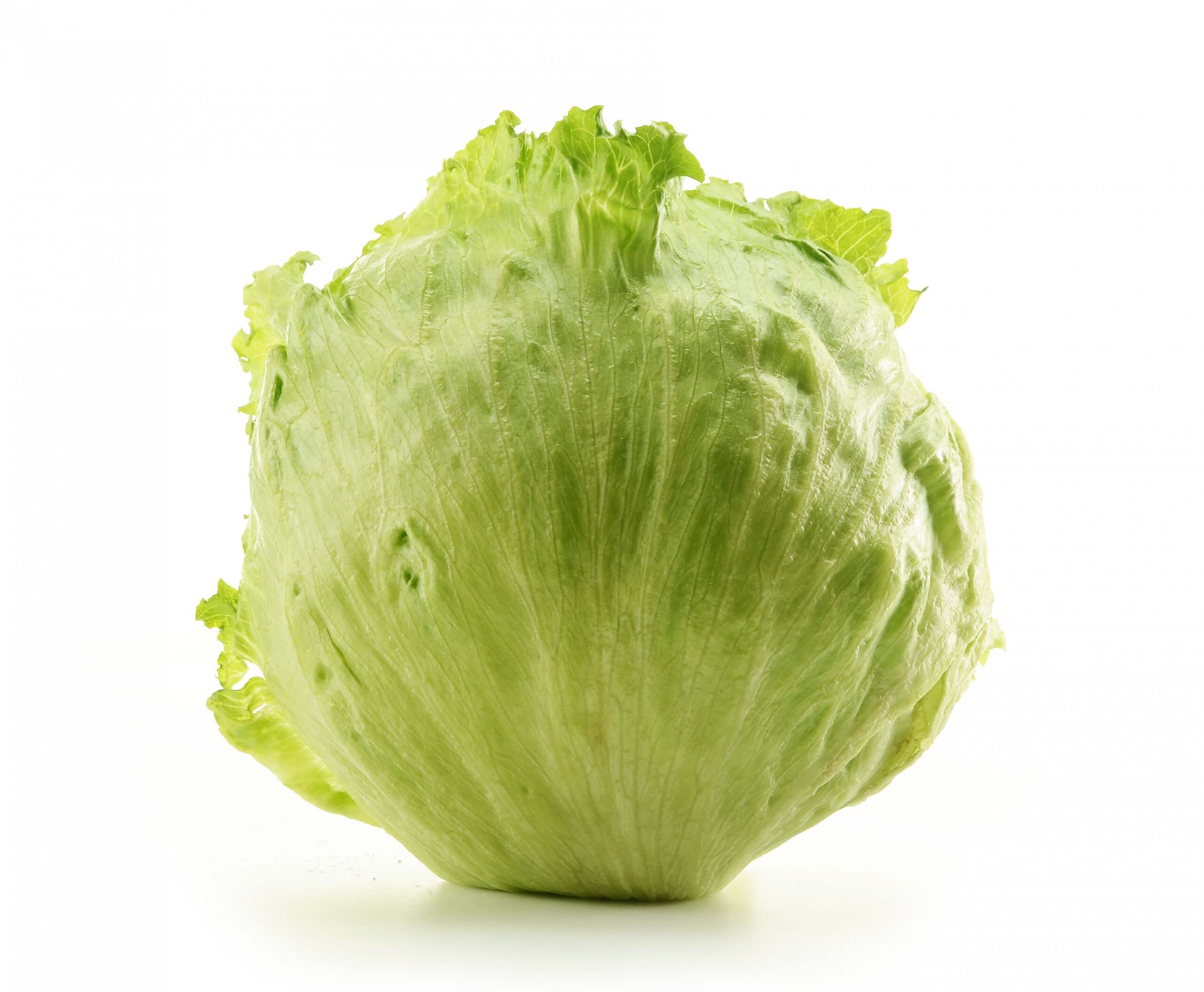 家庭菜園のレタスがちょっと苦い みなとの野菜大辞典 家庭菜園のレタスがちょっと苦い みなとの野菜大辞典