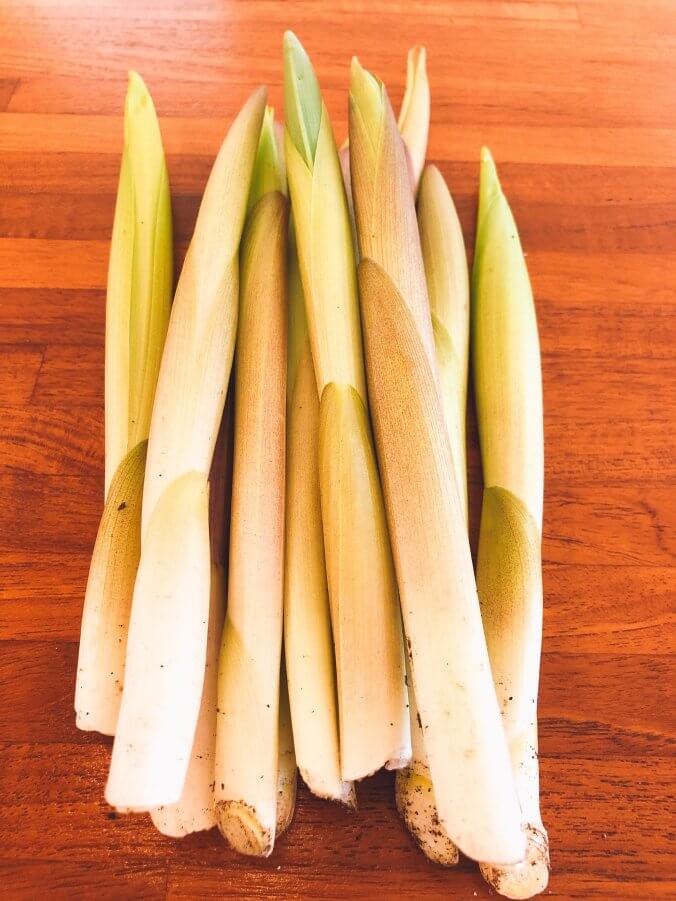 日本では珍しい野菜は？