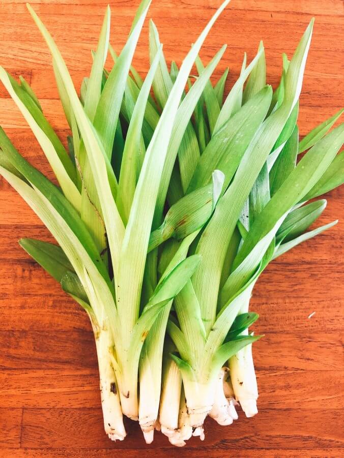 珍しい野菜 いくつ知っていますか みなとの野菜大辞典 珍しい野菜 いくつ知っていますか みなとの野菜大辞典