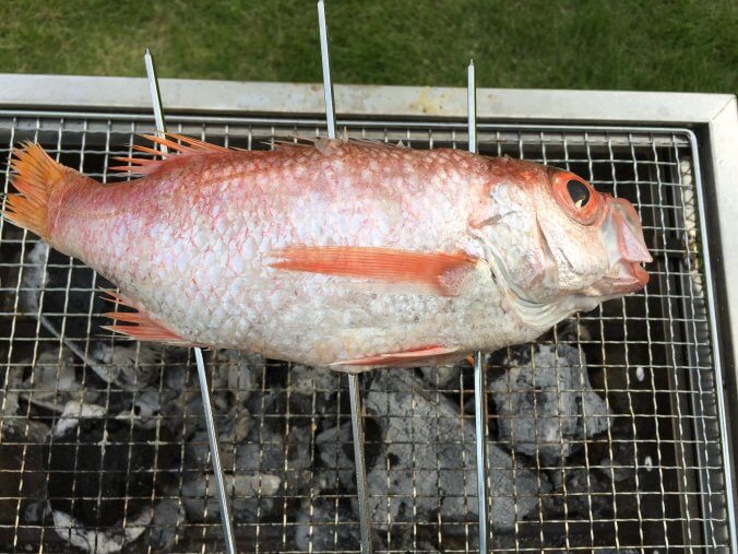 高級魚 絶品アカムツ ノドグロ みなとの野菜大辞典 高級魚 絶品アカムツ ノドグロ みなとの野菜大辞典