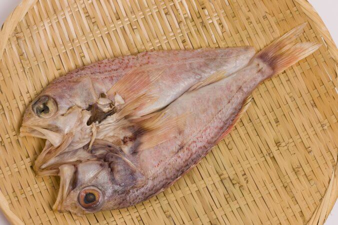 人気は西高東低 若狭グジは絶品 アマダイ 甘鯛 尼鯛 みなとの野菜大辞典