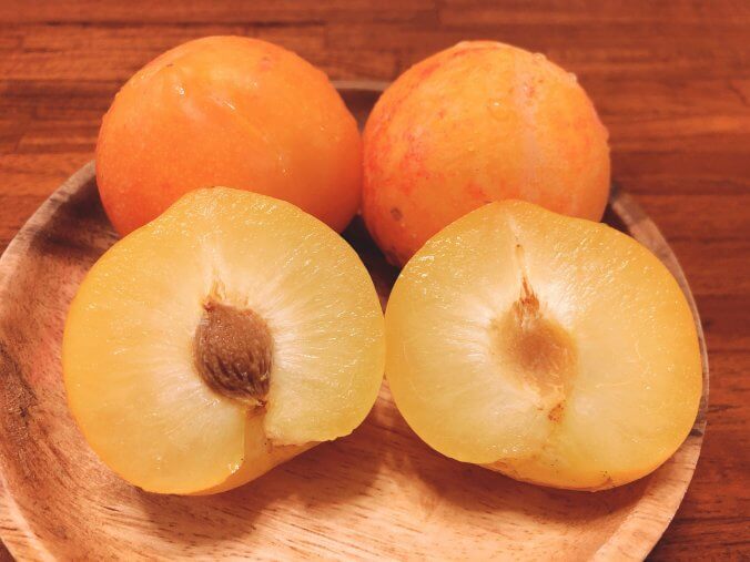 すもももももももものうち みなとの野菜大辞典 すもももももももものうち みなとの野菜大辞典