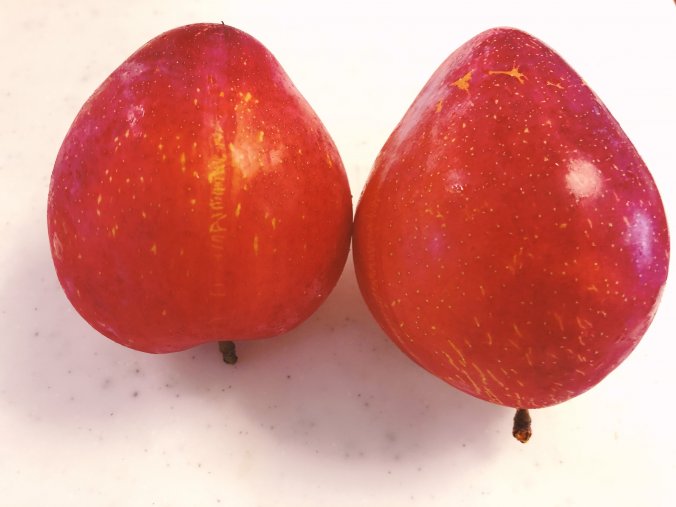 すもももももももものうち みなとの野菜大辞典 すもももももももものうち みなとの野菜大辞典