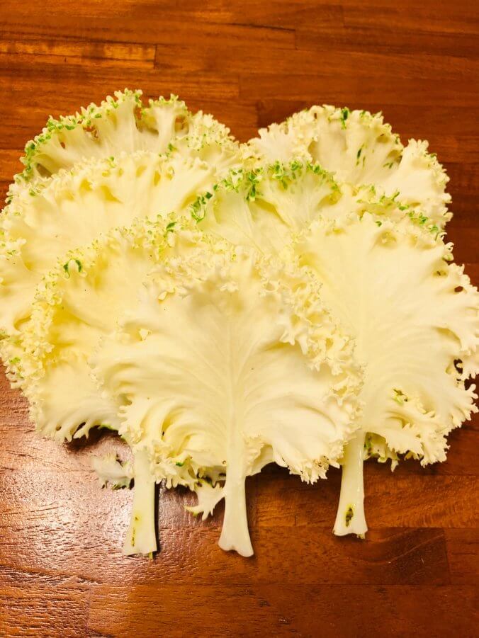 キャベツ みなとの野菜大辞典
