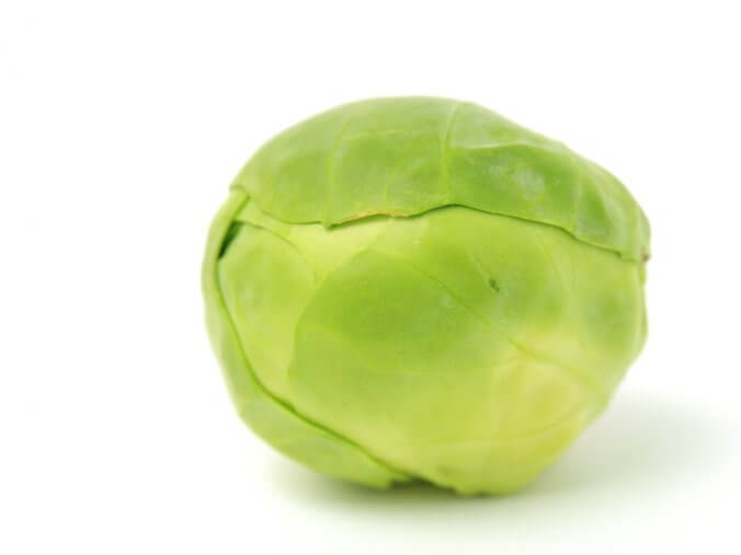 芽キャベツ みなとの野菜大辞典 芽キャベツ みなとの野菜大辞典