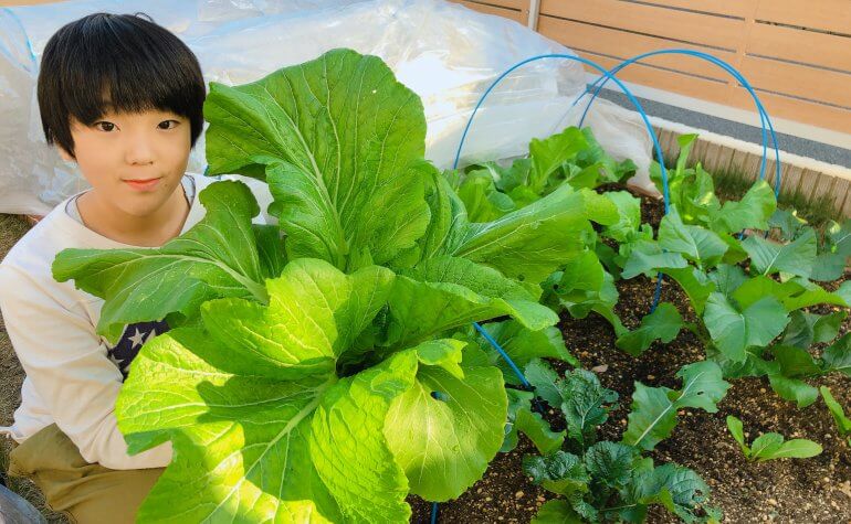 珍しい野菜 いくつ知っていますか みなとの野菜大辞典