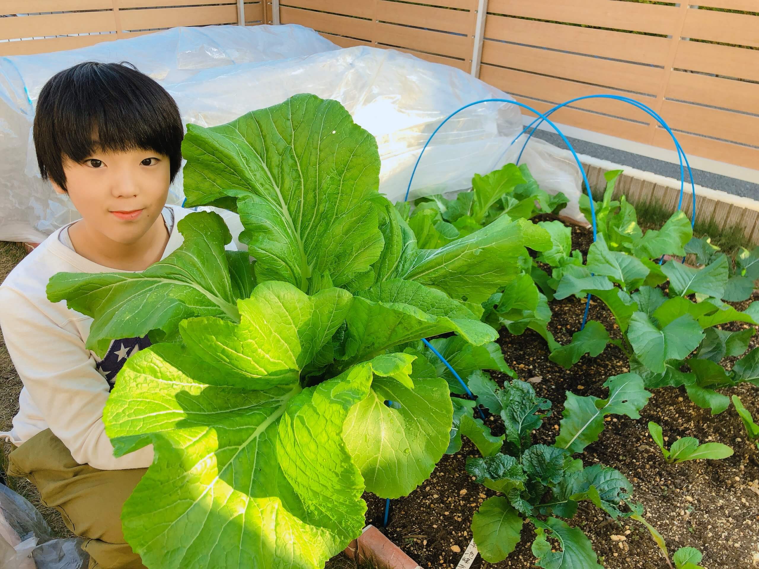 珍しい野菜 いくつ知っていますか みなとの野菜大辞典