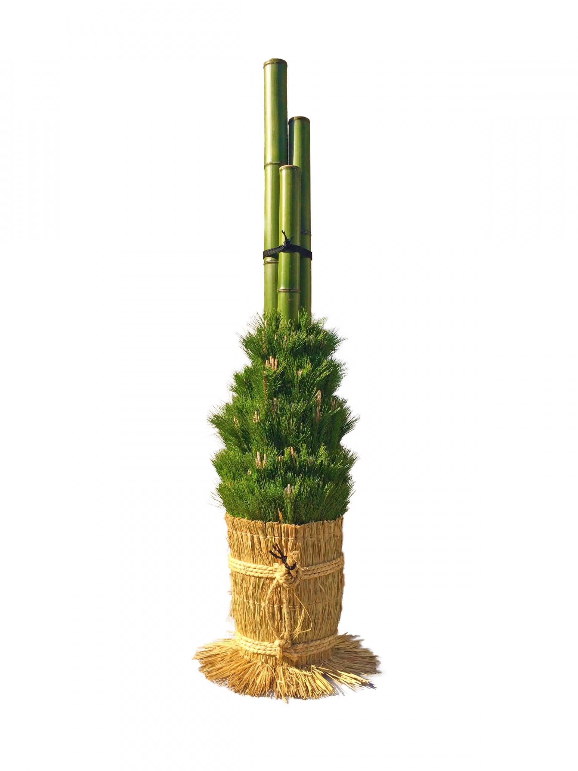 門松 なのに竹の主張がスゴイ みなとの野菜大辞典