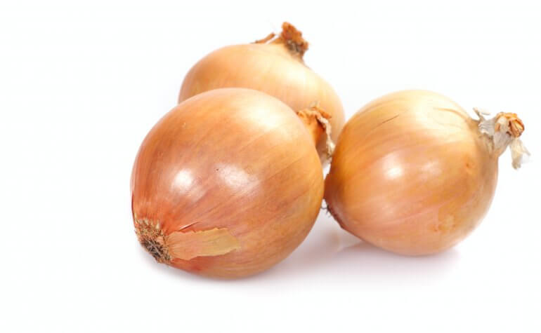 タマネギ みなとの野菜大辞典 タマネギ みなとの野菜大辞典